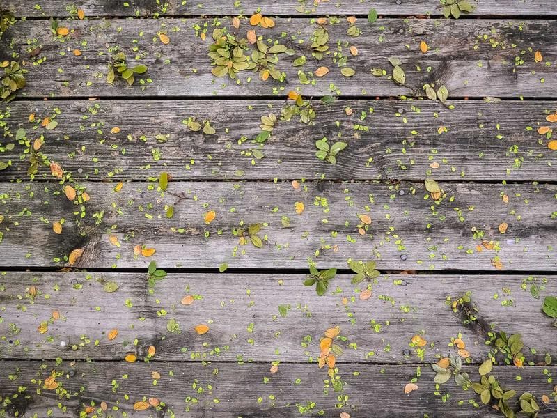 Full-Service API Integration